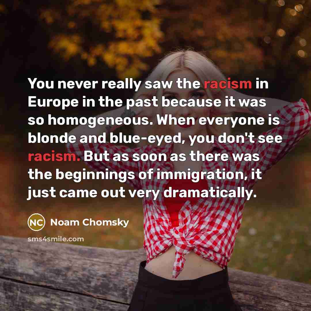 “You never really saw the racism in Europe in the…” quote by Noam Chomsky