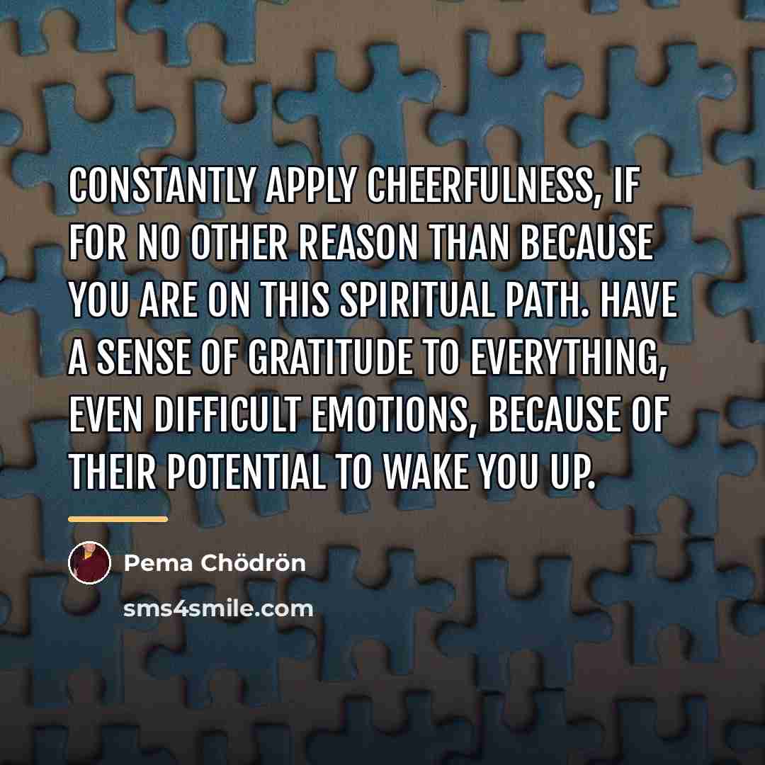 “Constantly apply cheerfulness, if for no other reason than because…” quote by Pema Chodron