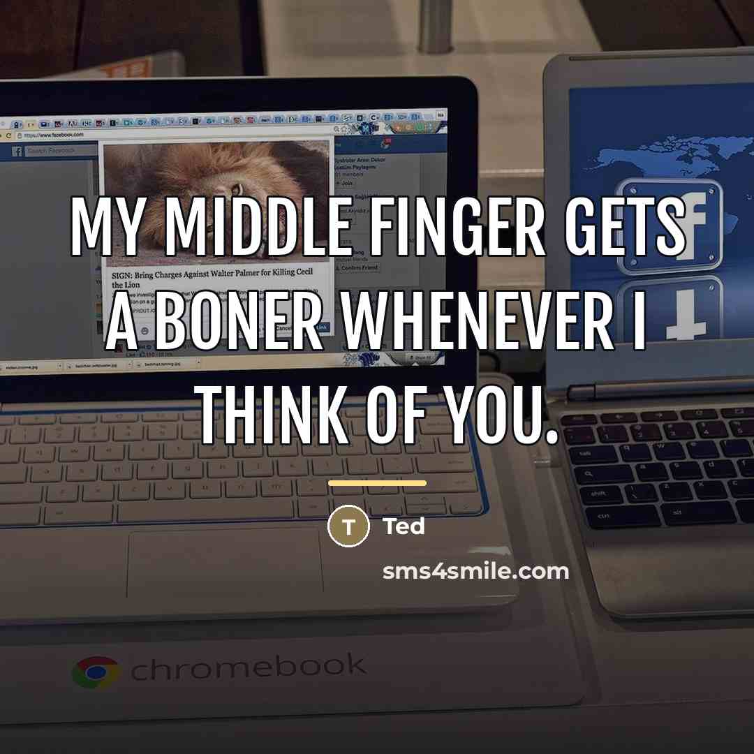 “My middle finger gets a boner whenever I think of…” quote by Ted