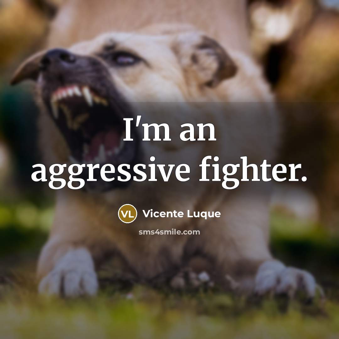 “I'm an aggressive fighter.…” quote by Vicente Luque