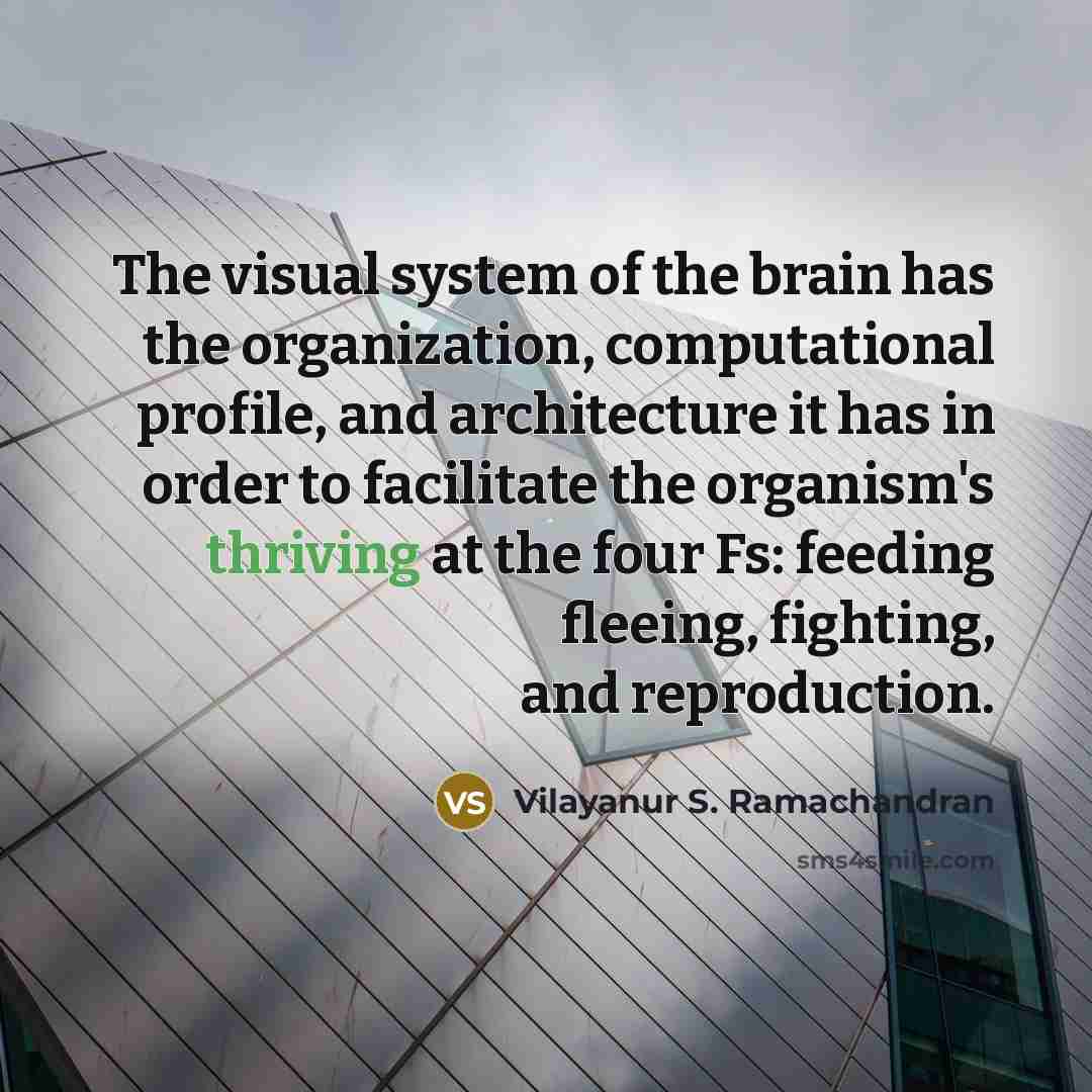 “The visual system of the brain has the organization, computational…” quote by Vilayanur S. Ramachandran