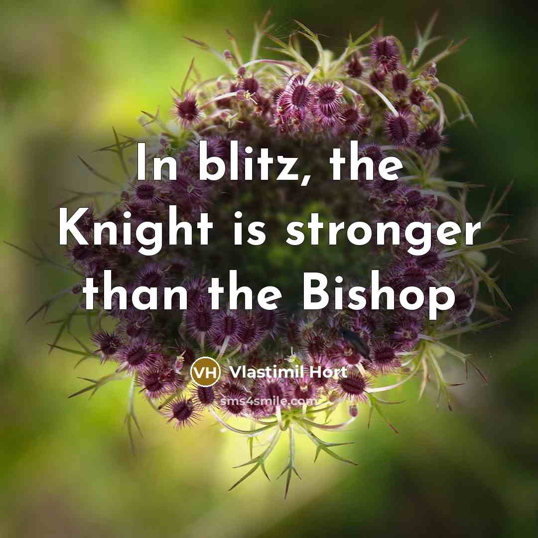 “In blitz, the Knight is stronger than the Bishop…” quote by Vlastimil Hort