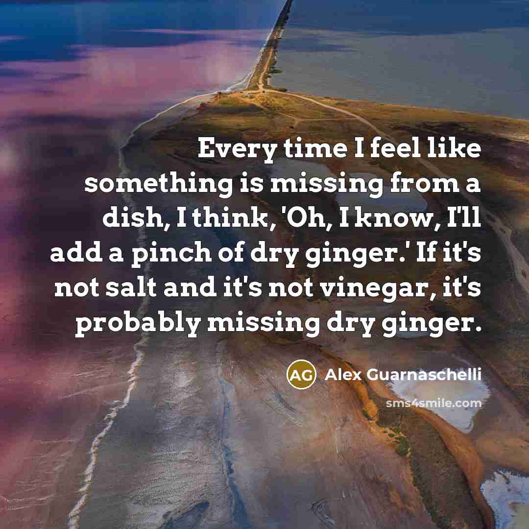 “Every time I feel like something is missing from a…” quote by Alex Guarnaschelli