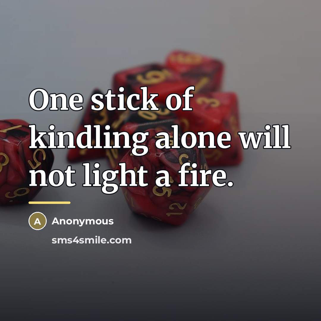 “One stick of kindling alone will not light a fire.…” quote by Anonymous