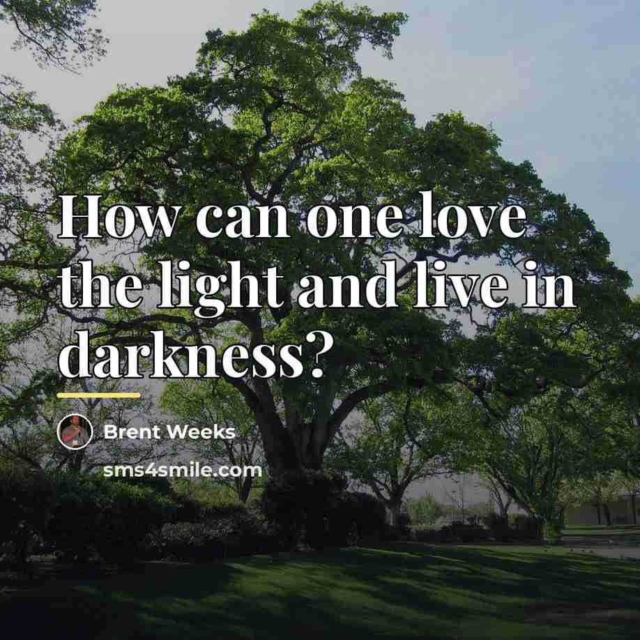 “How can one love the light and live in darkness?…” quote by Brent Weeks