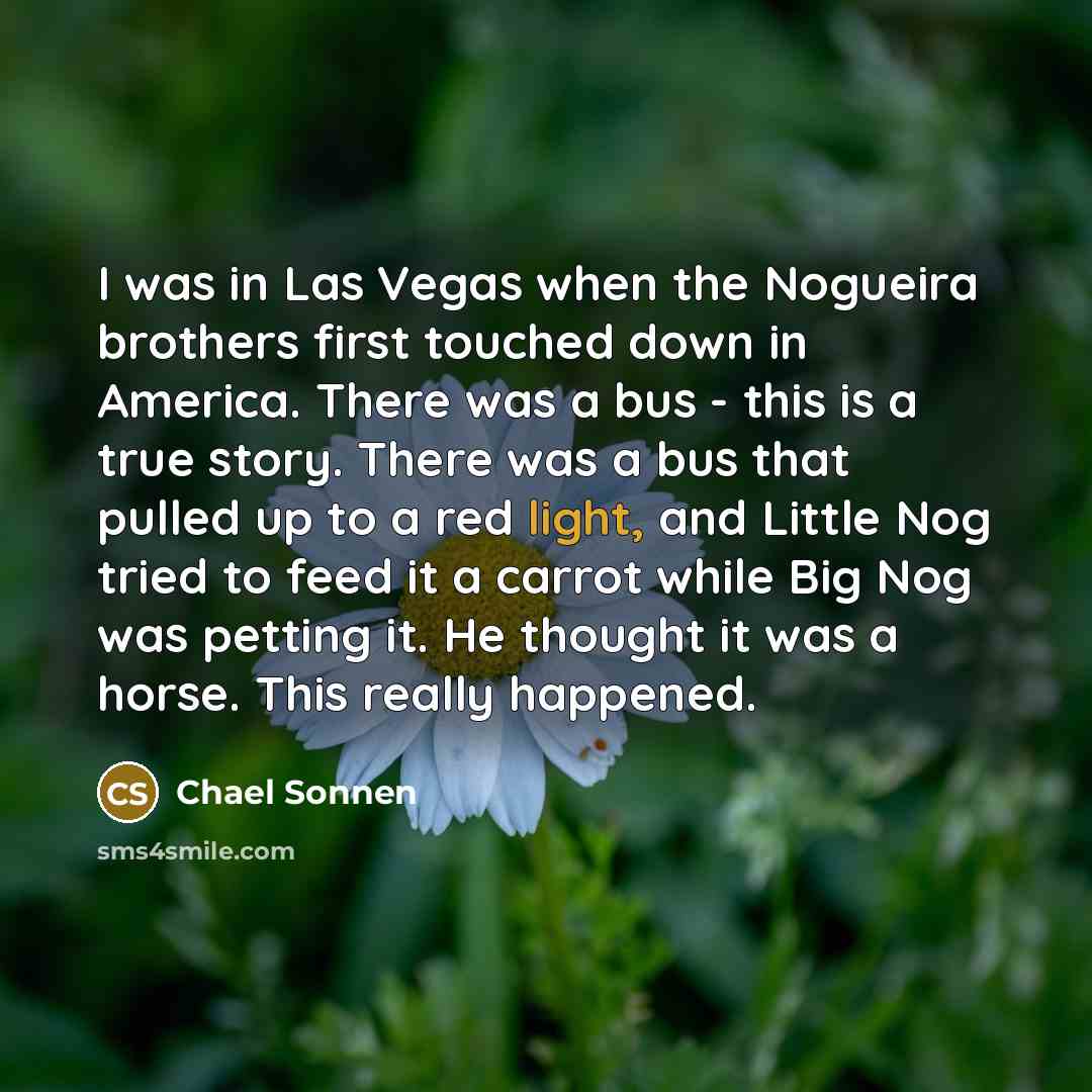 “I was in Las Vegas when the Nogueira brothers first…” quote by Chael Sonnen