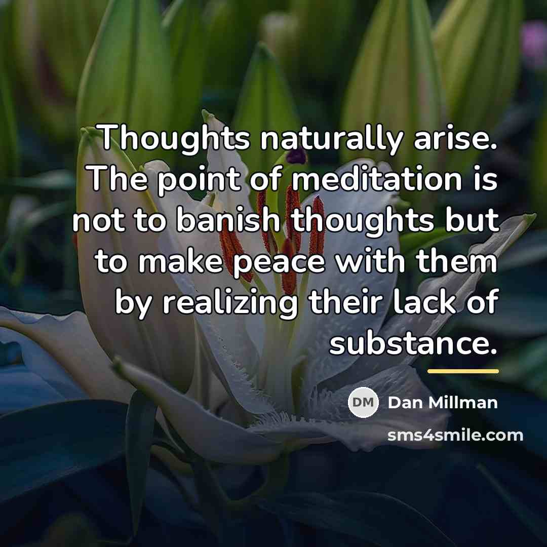 “Thoughts naturally arise. The point of meditation is not to…” quote by Dan Millman
