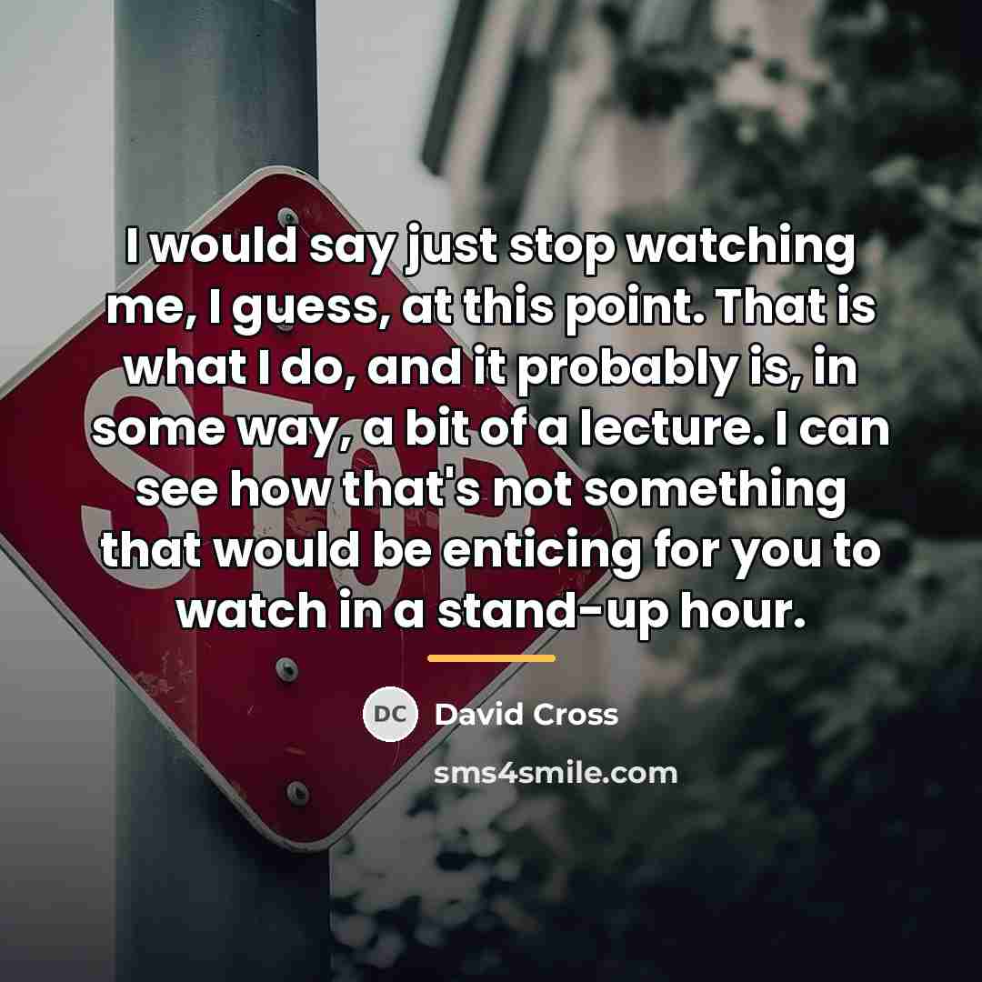 “I would say just stop watching me, I guess, at…” quote by David Cross