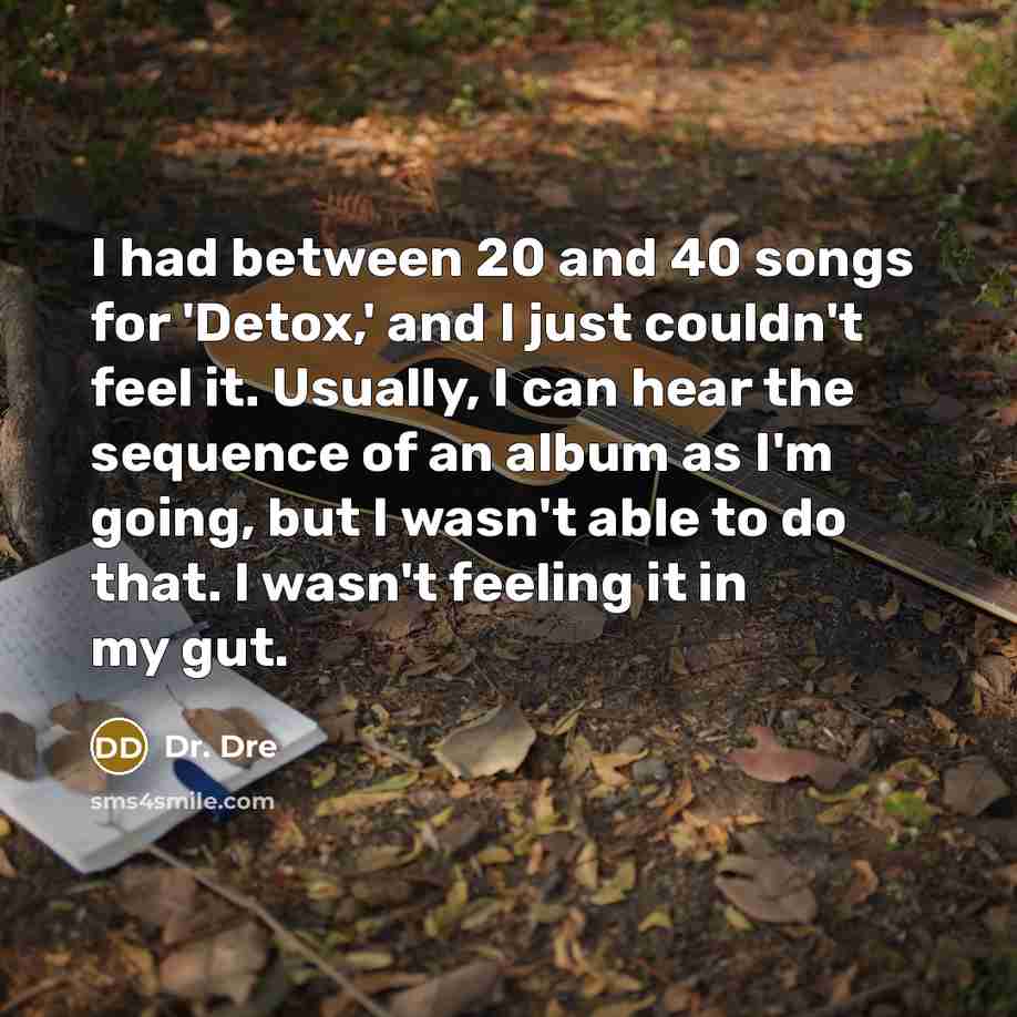 “I had between 20 and 40 songs for 'Detox,' and…” quote by Dr. Dre