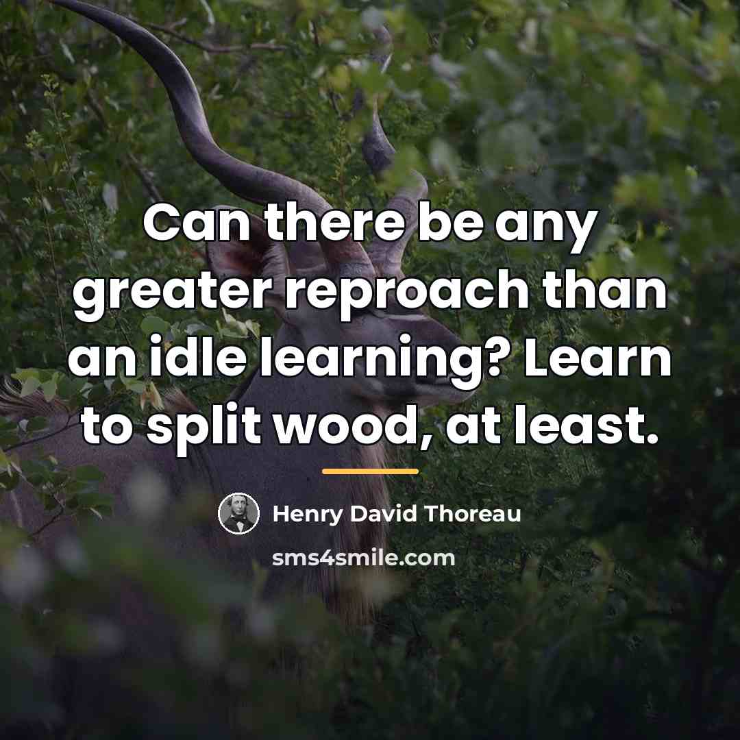 “Can there be any greater reproach than an idle learning?…” quote by Henry David Thoreau