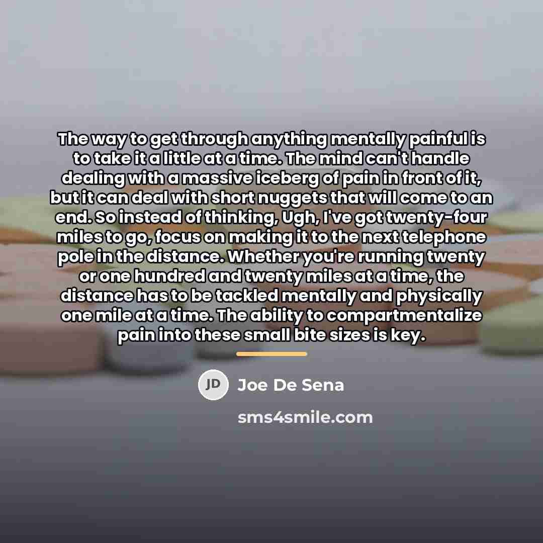 “The way to get through anything mentally painful is to…” quote by Joe De Sena