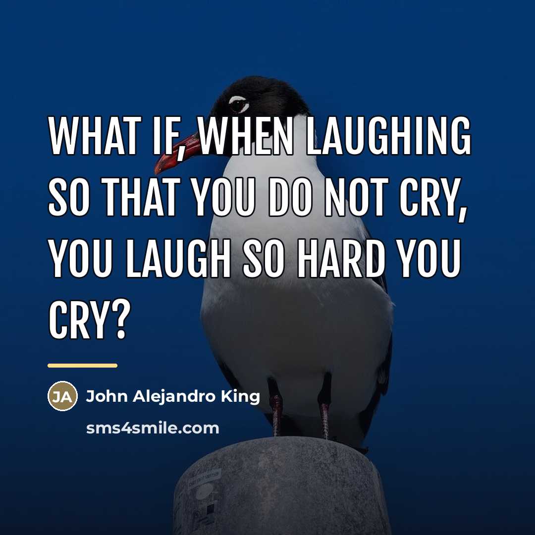 “What if, when laughing so that you do not cry,…” quote by John Alejandro King