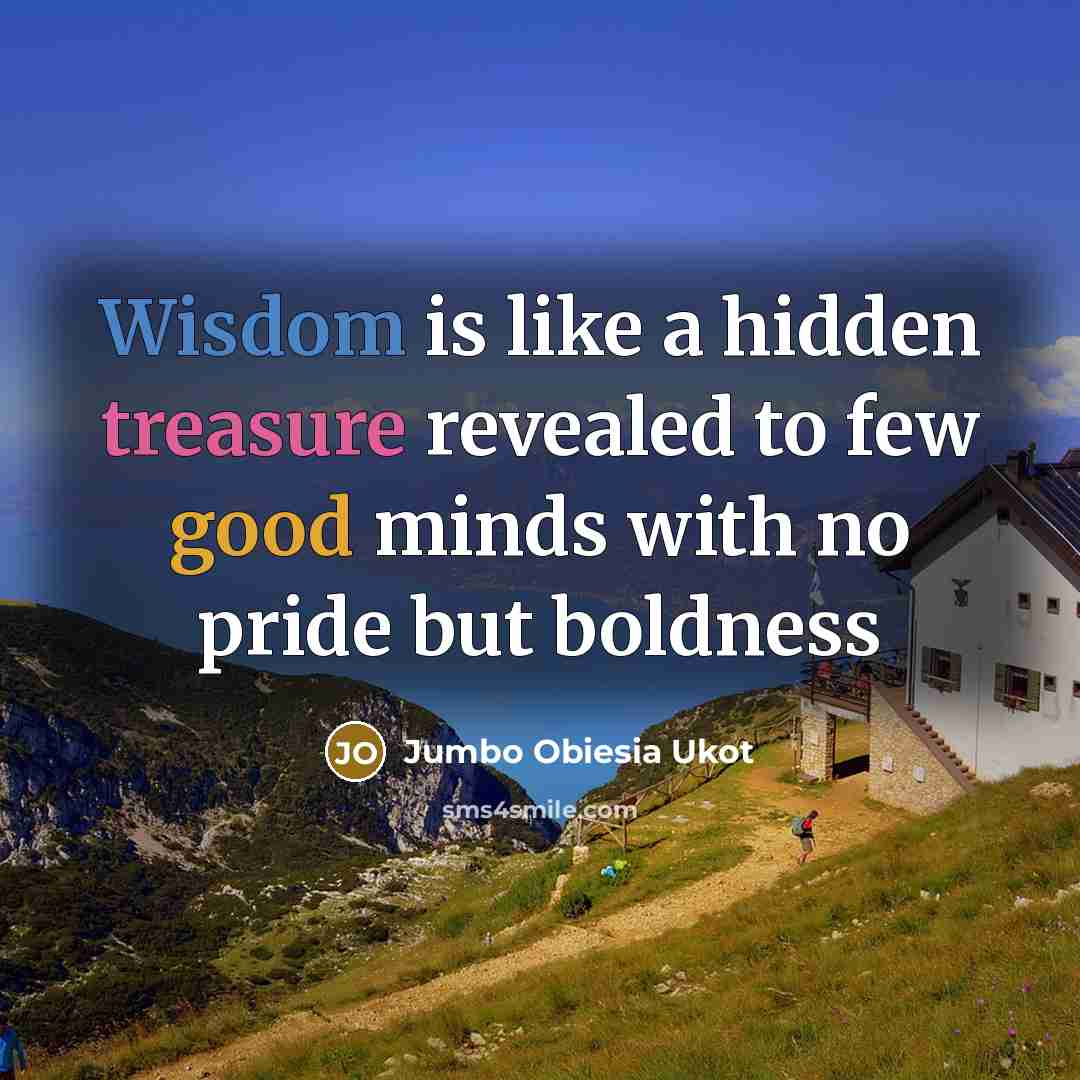 “Wisdom is like a hidden treasure revealed to few good minds with no pride but boldness” quote by Jumbo Obiesia Ukot