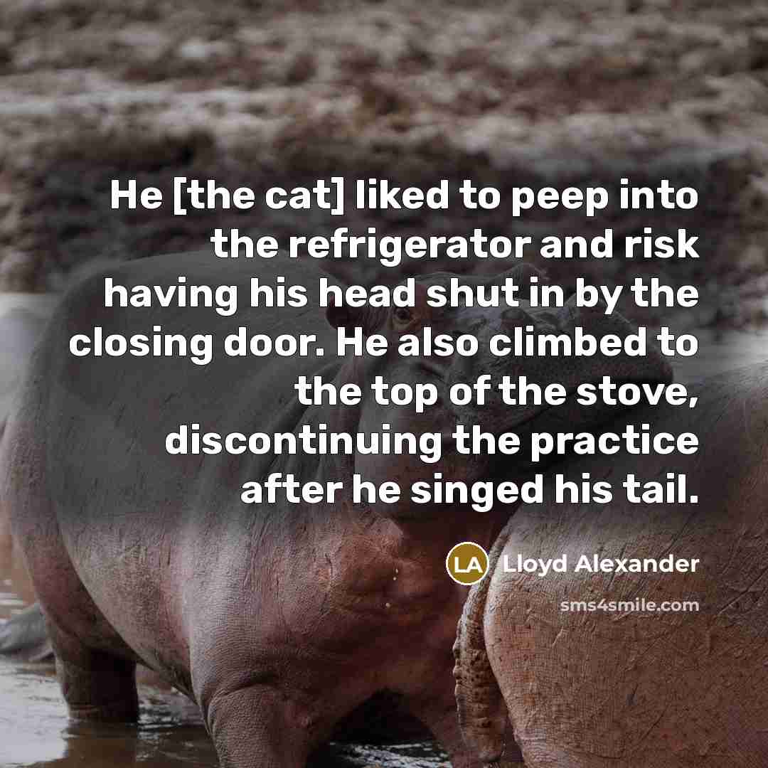 “He [the cat] liked to peep into the refrigerator and…” quote by Lloyd Alexander