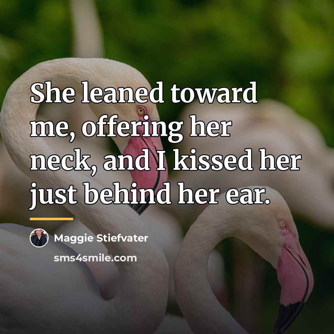 “She leaned toward me, offering her neck, and I kissed…” quote by Maggie Stiefvater