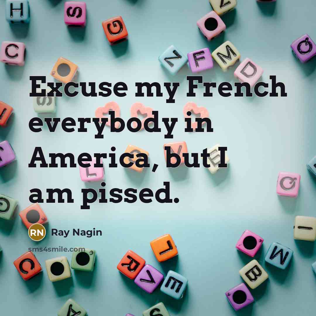 “Excuse my French everybody in America, but I am pissed.…” quote by Ray Nagin