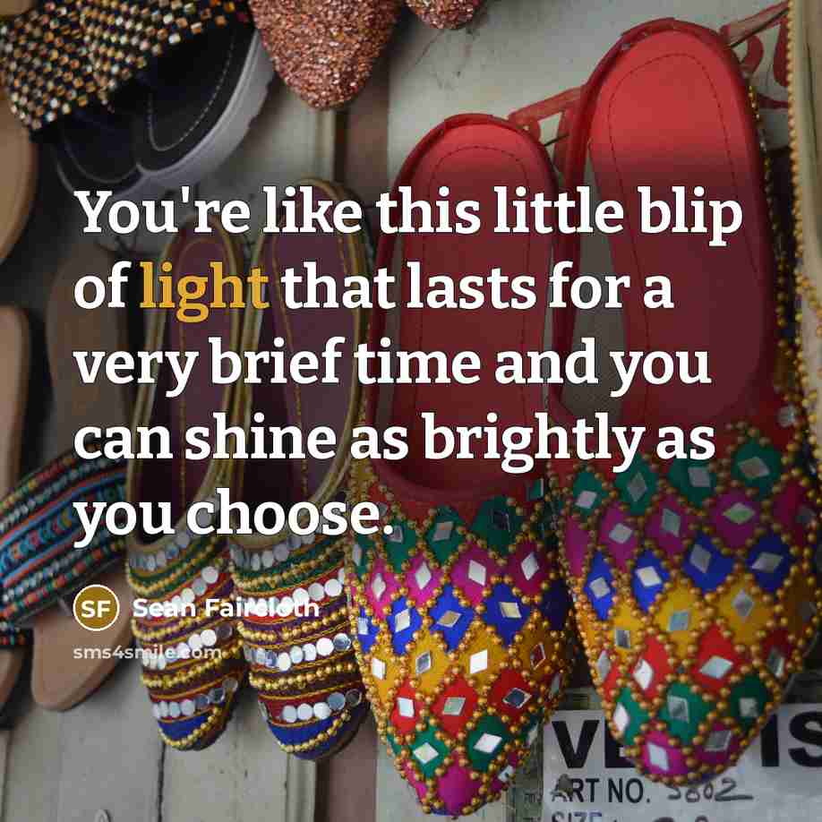 “You're like this little blip of light that lasts for…” quote by Sean Faircloth