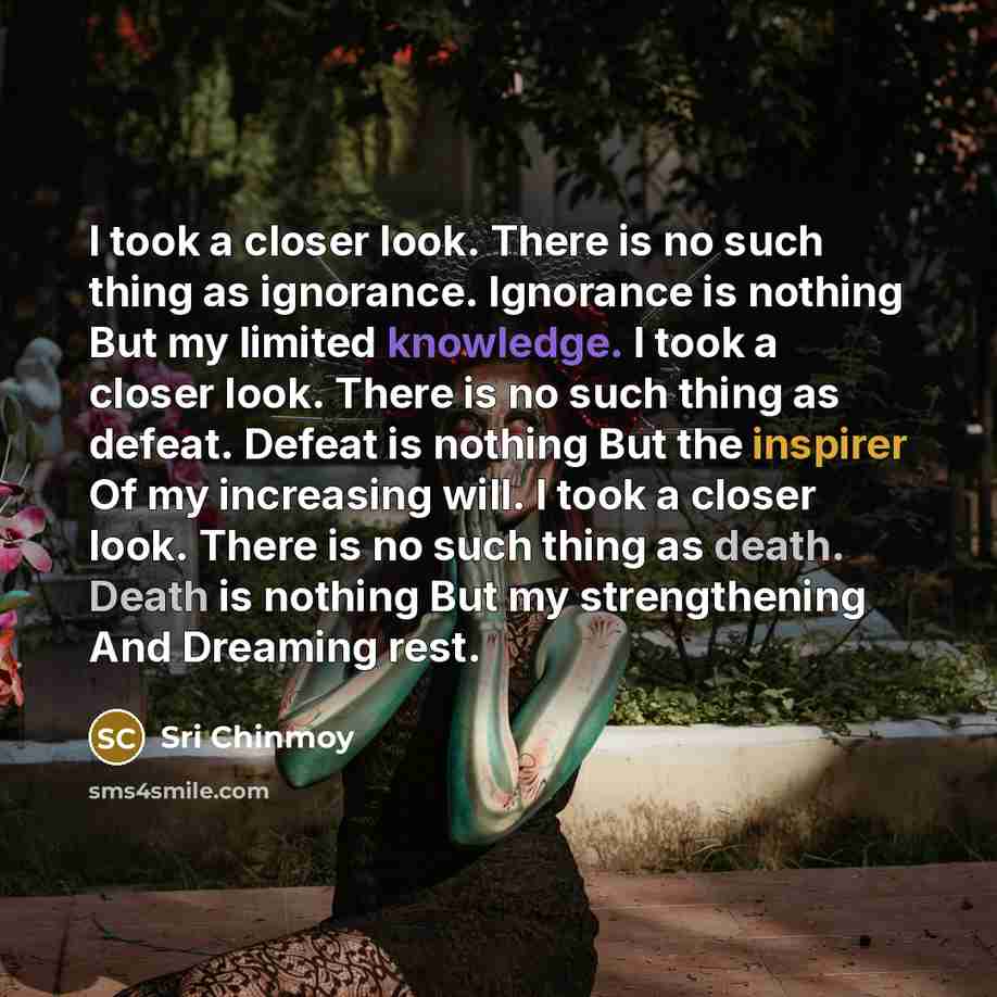 “I took a closer look. There is no such thing…” quote by Sri Chinmoy