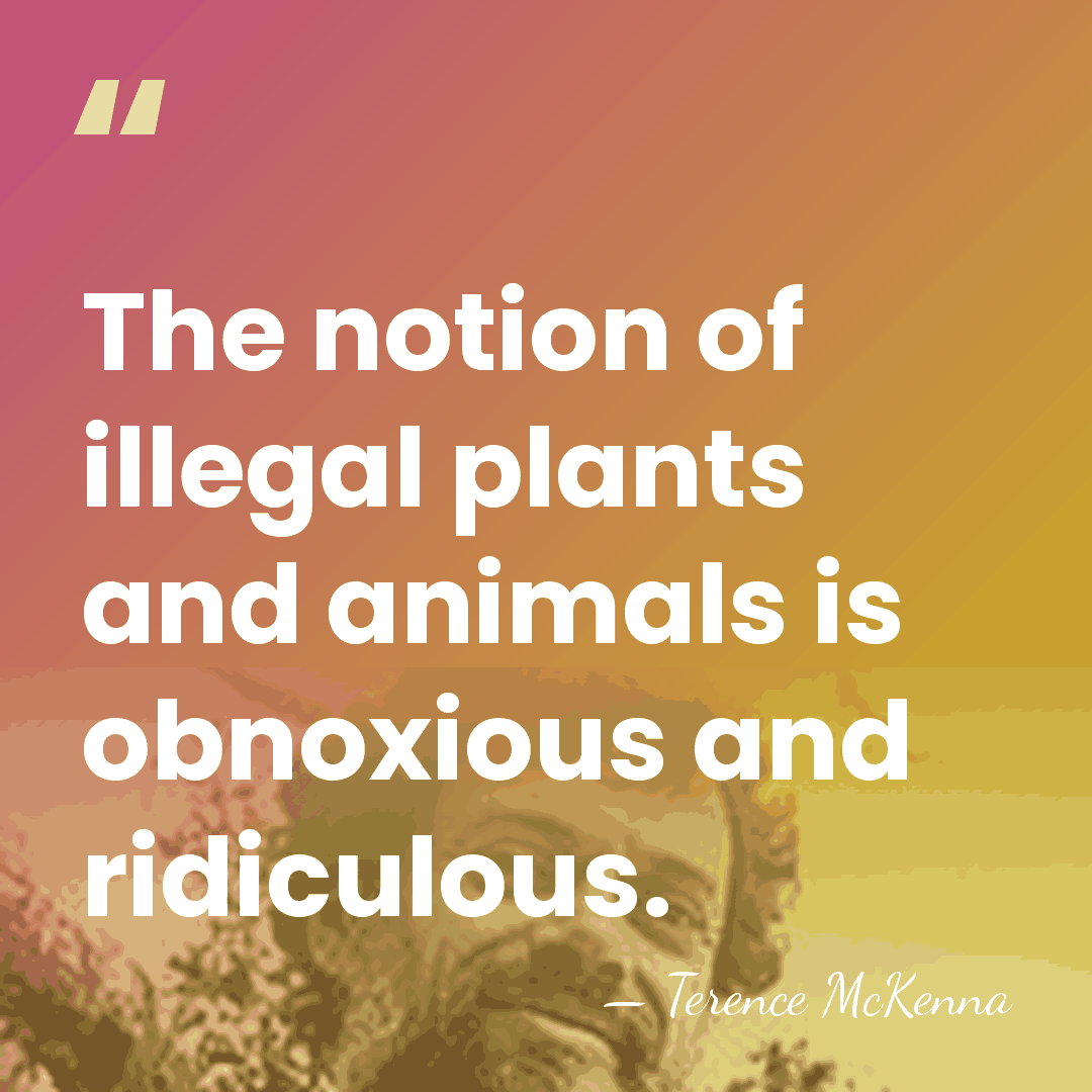 The notion of illegal plants and animals is obnoxious and ridiculous. - Terence McKenna