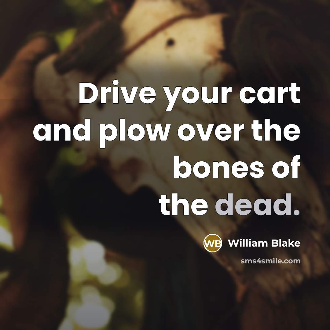 “Drive your cart and plow over the bones of the…” quote by William Blake