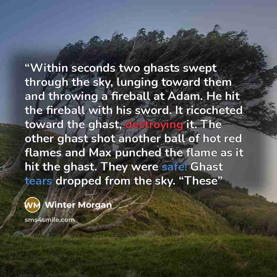 “Within seconds two ghasts swept through the sky, lunging toward them and throwing a fireball at Adam. He hit the fireball with his sword. It ricocheted toward the ghast, destroying it. The other ghast shot another ball of hot red flames and Max punched the flame as it hit the ghast. They were…” quote by Winter Morgan