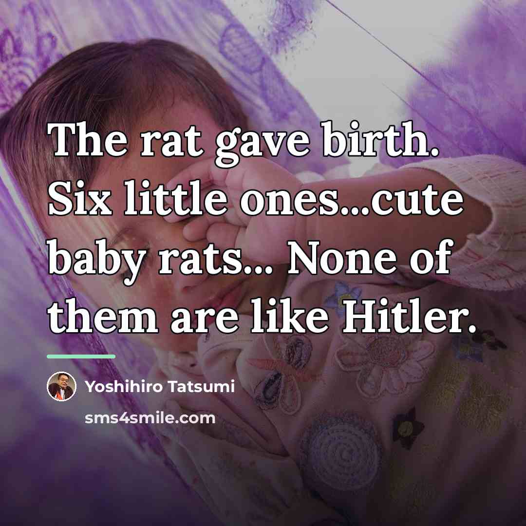 “The rat gave birth. Six little ones...cute baby rats... None…” quote by Yoshihiro Tatsumi