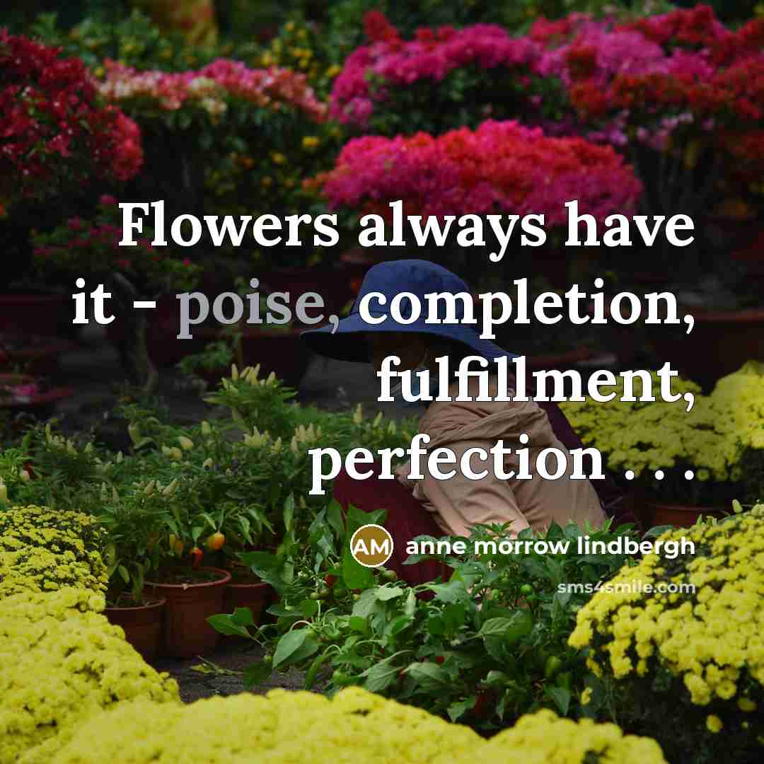 “Flowers always have it - poise, completion, fulfillment, perfection .…” quote by Anne Morrow Lindbergh