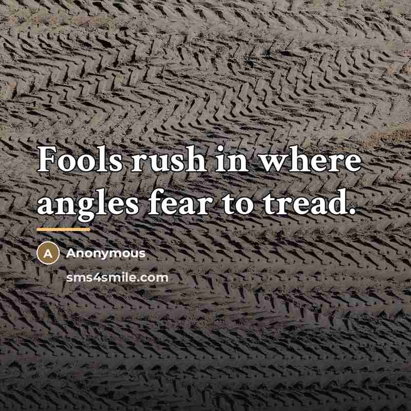 “Fools rush in where angles fear to tread.…” quote by Anonymous