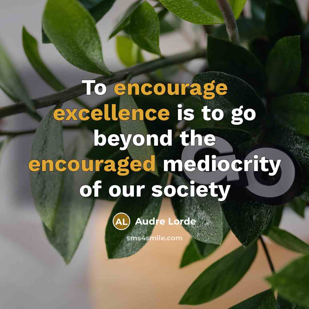 “To encourage excellence is to go beyond the encouraged mediocrity of our society” quote by Audre Lorde