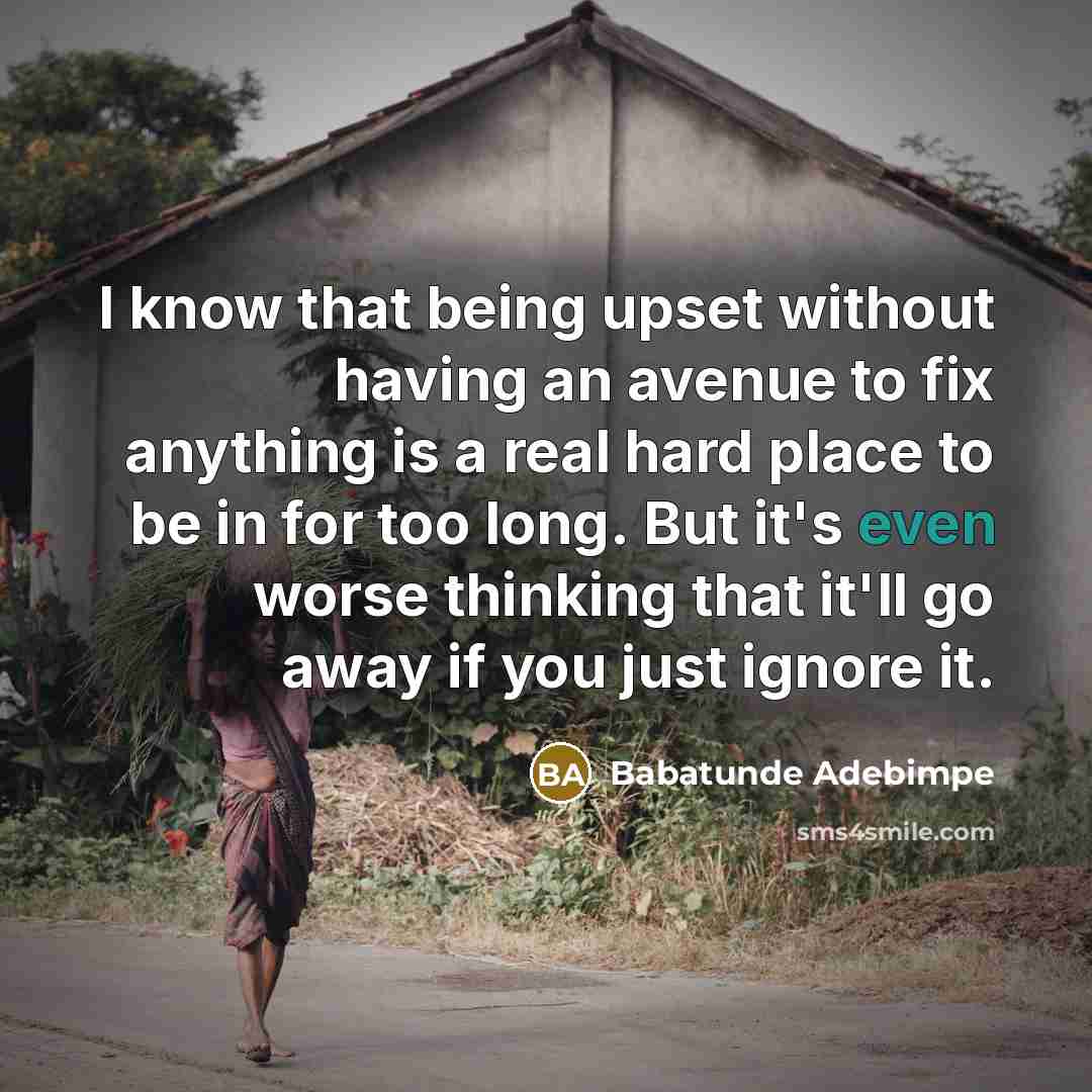 “I know that being upset without having an avenue to…” quote by Babatunde Adebimpe