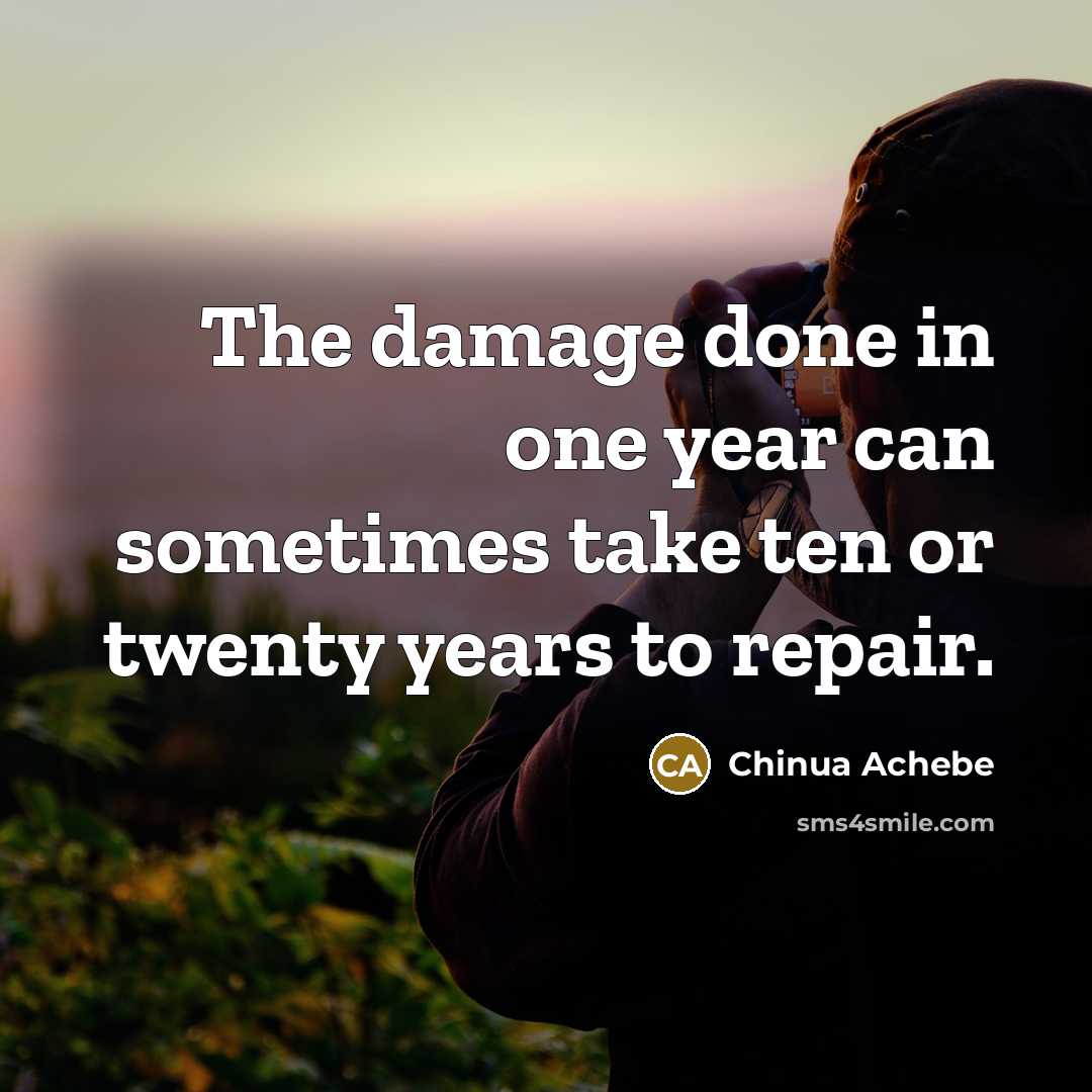 “The damage done in one year can sometimes take ten…” quote by Chinua Achebe