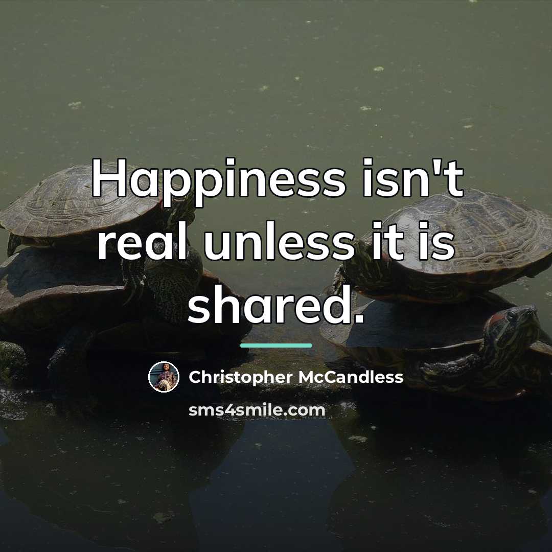 “Happiness isn't real unless it is shared.…” quote by Christopher McCandless
