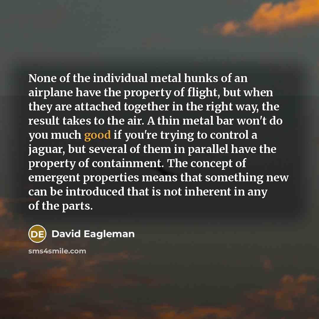 “None of the individual metal hunks of an airplane have…” quote by David Eagleman