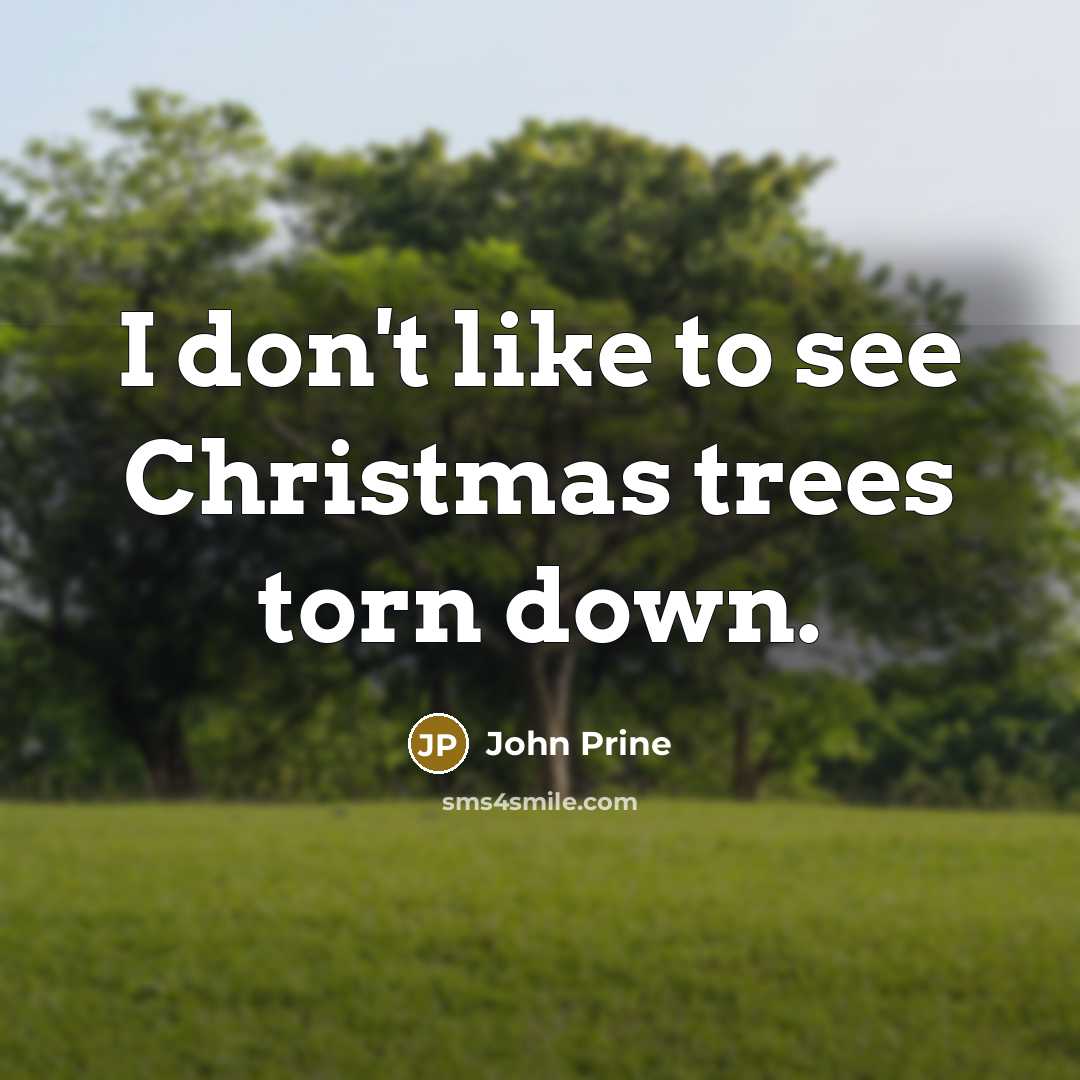 “I don't like to see Christmas trees torn down.…” quote by John Prine