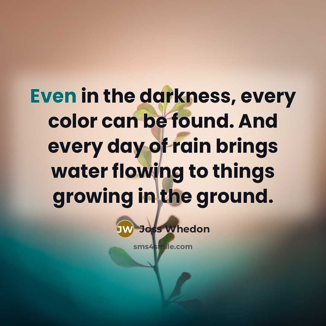“Even in the darkness, every color can be found. And…” quote by Joss Whedon