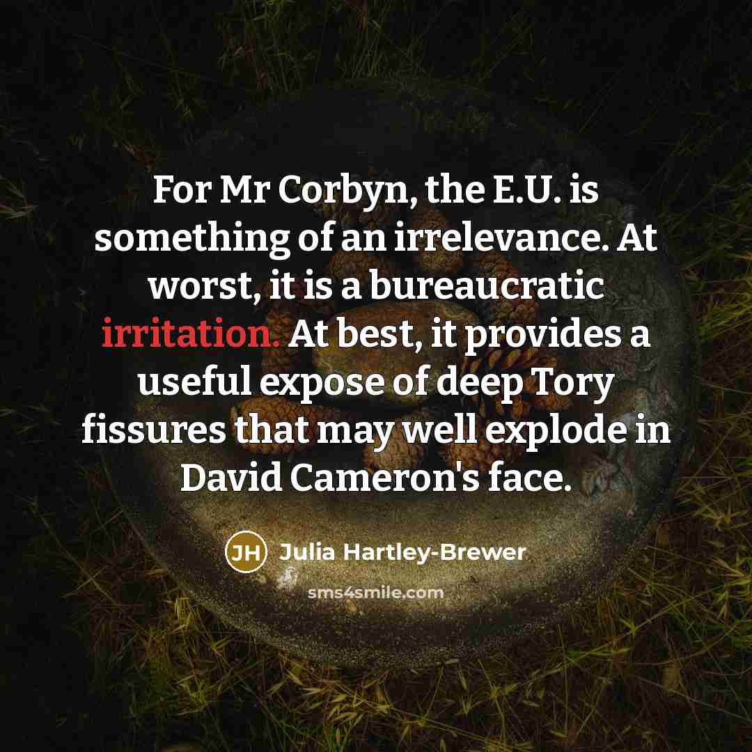 “For Mr Corbyn, the E.U. is something of an irrelevance.…” quote by Julia Hartley-Brewer