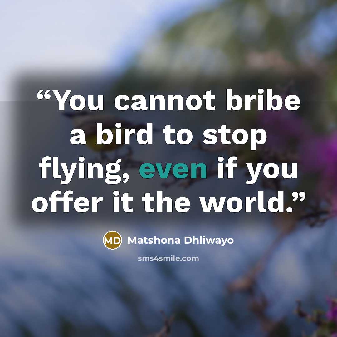 “You cannot bribe a bird to stop flying, even if you offer it the world.” quote by Matshona Dhliwayo