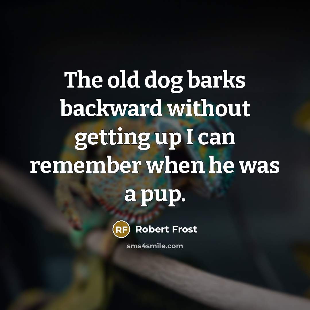 “The old dog barks backward without getting up I can remember when he was a pup.” quote by Robert Frost