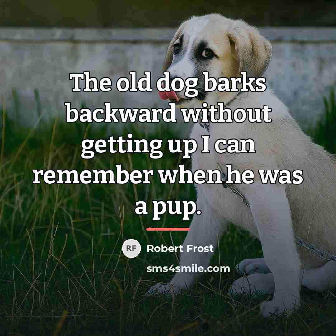 “The old dog barks backward without getting up I can…” quote by Robert Frost