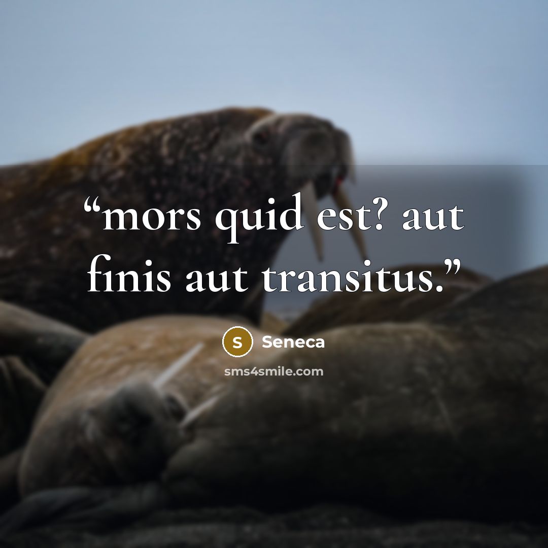 “mors quid est? aut finis aut transitus.” quote by Seneca