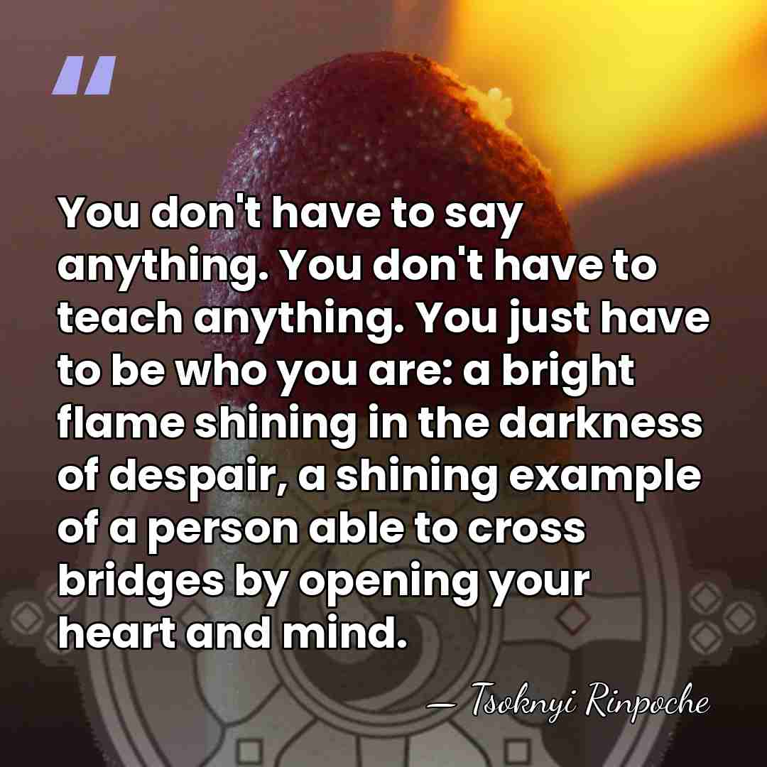You don't have to say anything. You don't have to teach anything.&hellip; - Tsoknyi Rinpoche