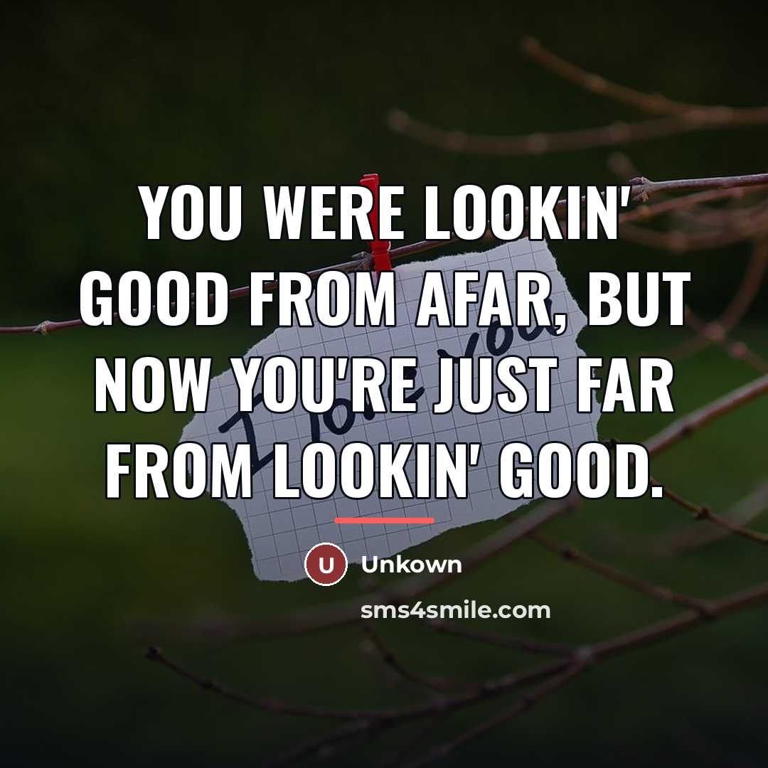 “You were lookin' good from afar, but now you're just…” quote by Unkown