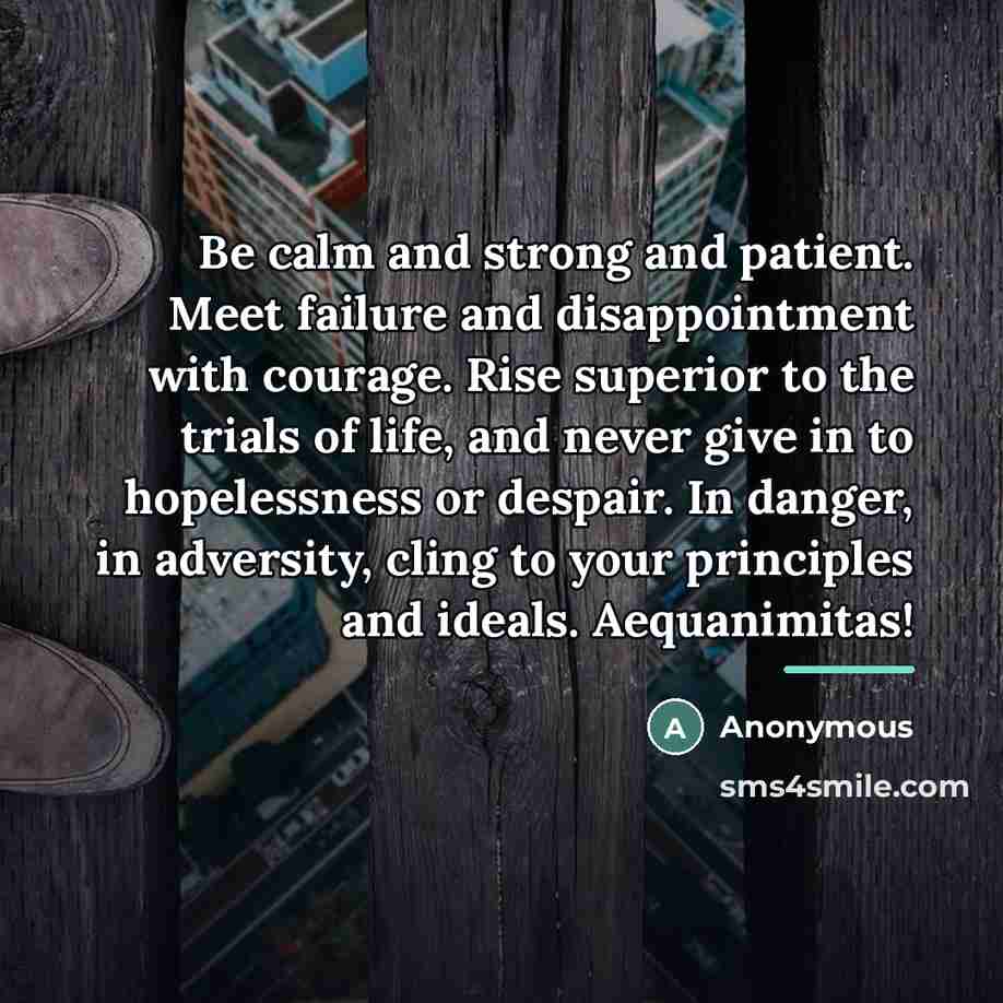 “Be calm and strong and patient. Meet failure and disappointment…” quote by Anonymous
