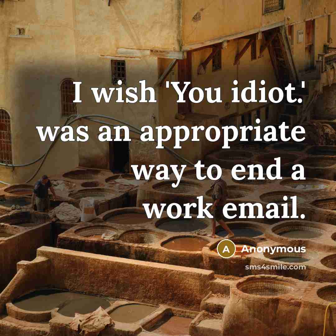 “I wish 'You idiot.' was an appropriate way to end…” quote by Anonymous
