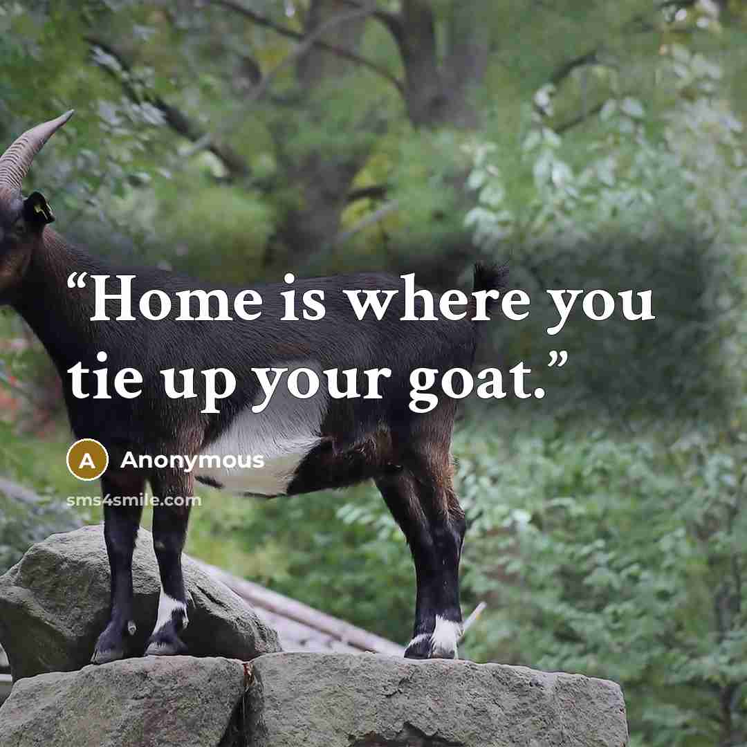 “Home is where you tie up your goat.” quote by Anonymous