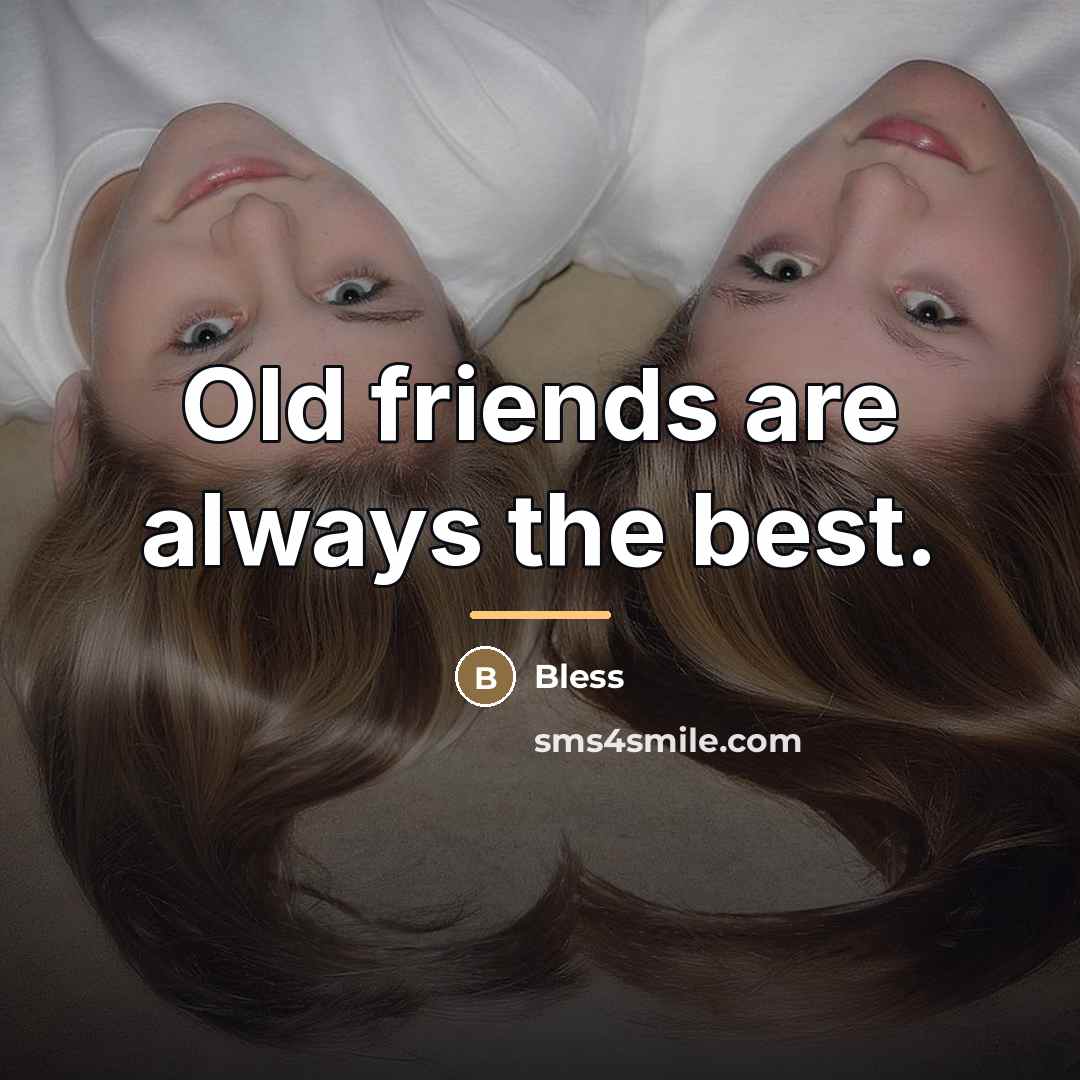 “Old friends are always the best.…” quote by Bless
