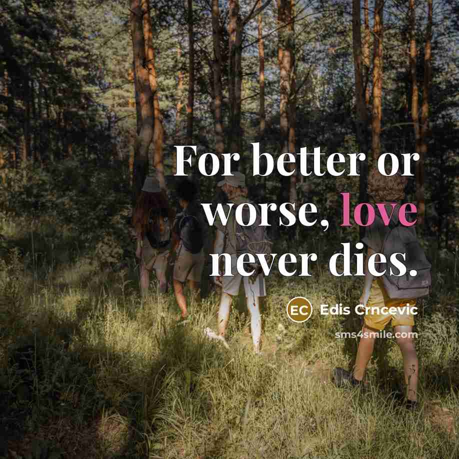 “For better or worse, love never dies.” quote by Edis Crncevic
