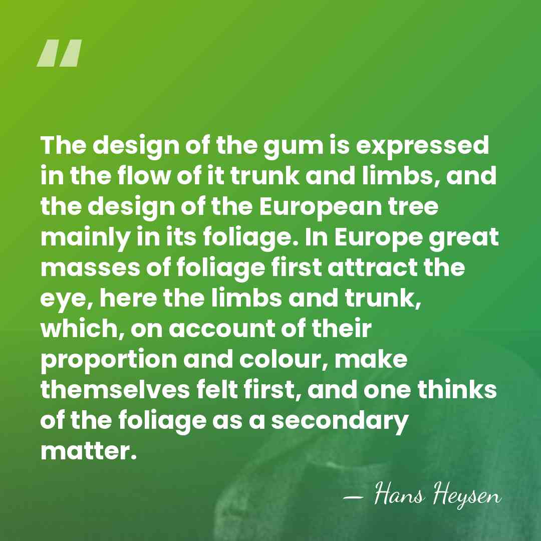 The design of the gum is expressed in the flow of it&hellip; - Hans Heysen