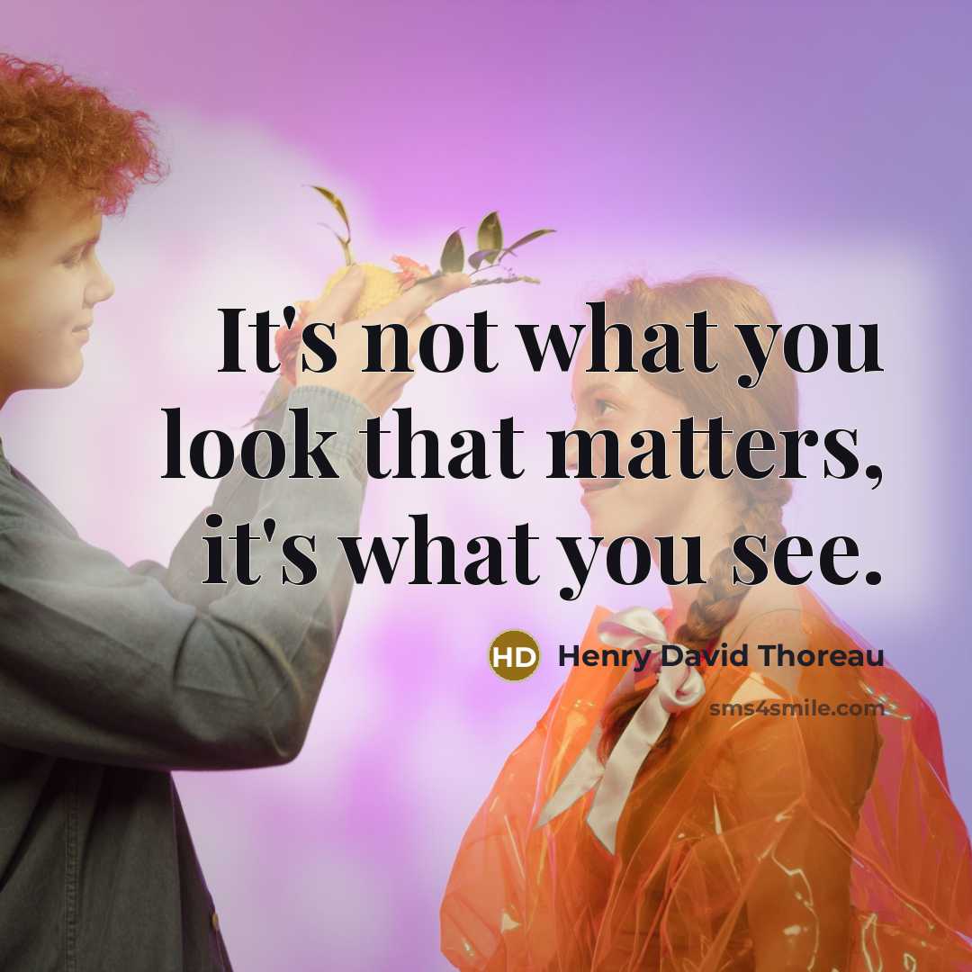 “It's not what you look that matters, it's what you…” quote by Henry David Thoreau
