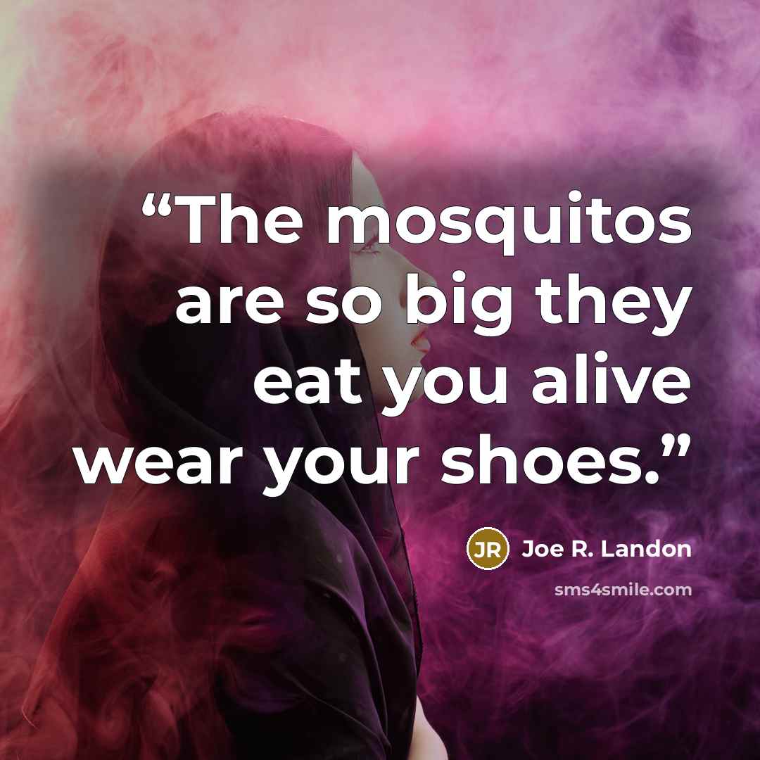 “The mosquitos are so big they eat you alive wear your shoes.” quote by Joe R. Landon